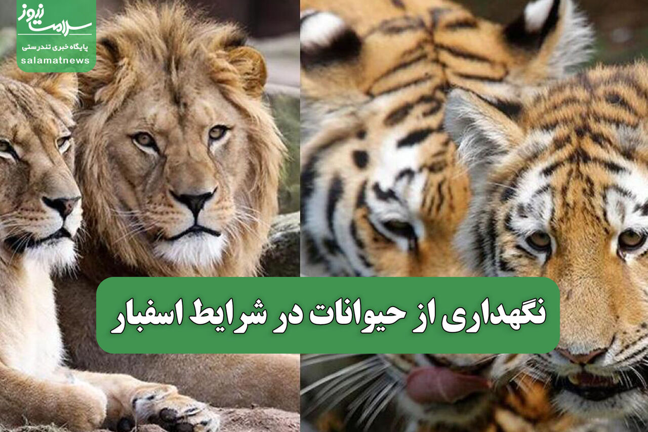 نگهداری از حیوانات در شرایط اسفبار