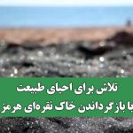 تلاش برای احیای طبیعت با بازگرداندن خاک نقره‌ای هرمز