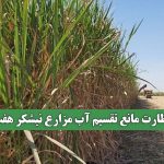 سوءنظارت مانع تقسیم آب مزارع نیشکر هفت تپه