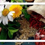 وقتی مصرف خودسرانه گیاهان دارویی فاجعه می‌آفریند