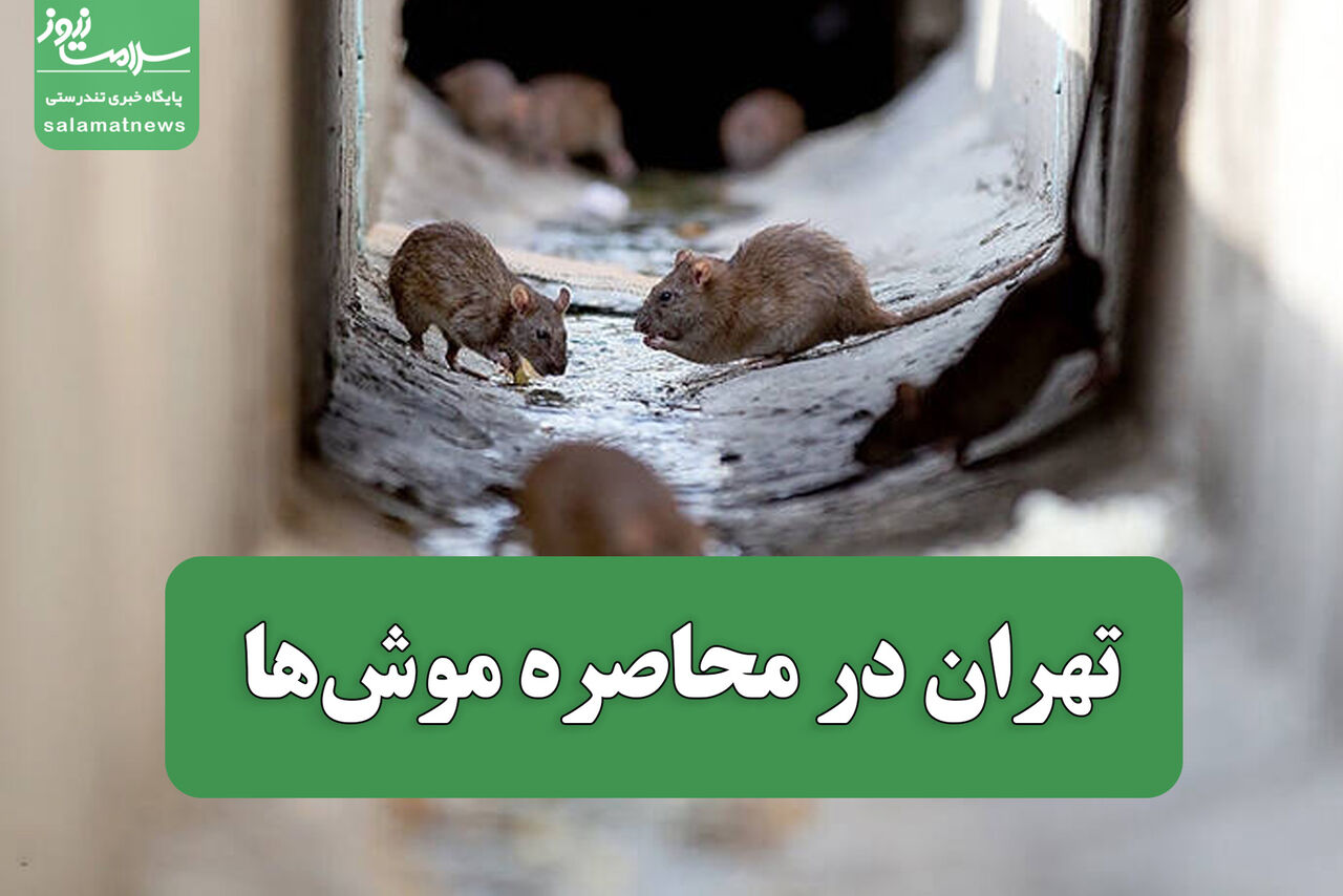 تهران در محاصره موشها – سلامت نیوز