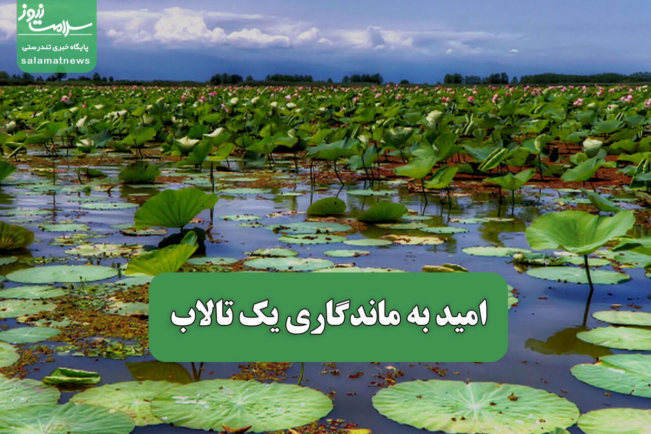 امید به ماندگاری یک تالاب