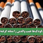 سلامتی که دود می‌شود – سلامت نیوز