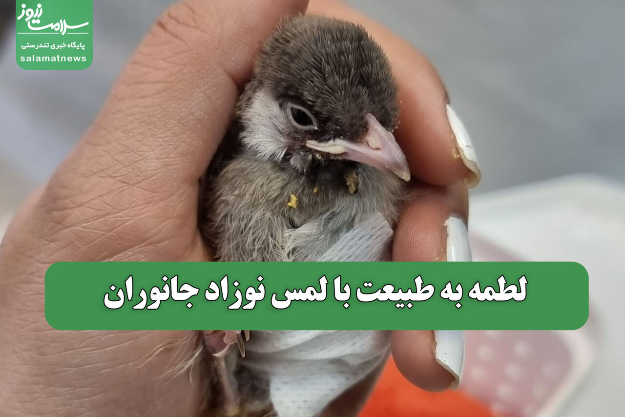 لطمه به طبیعت با لمس نوزاد جانوران