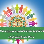 ایجاد کارگروه مشترک تخصصی ما بین وزارت بهداشت و ستاد سمن های شهر تهران