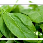 یک قاعده کلی برای مصرف اسفناج