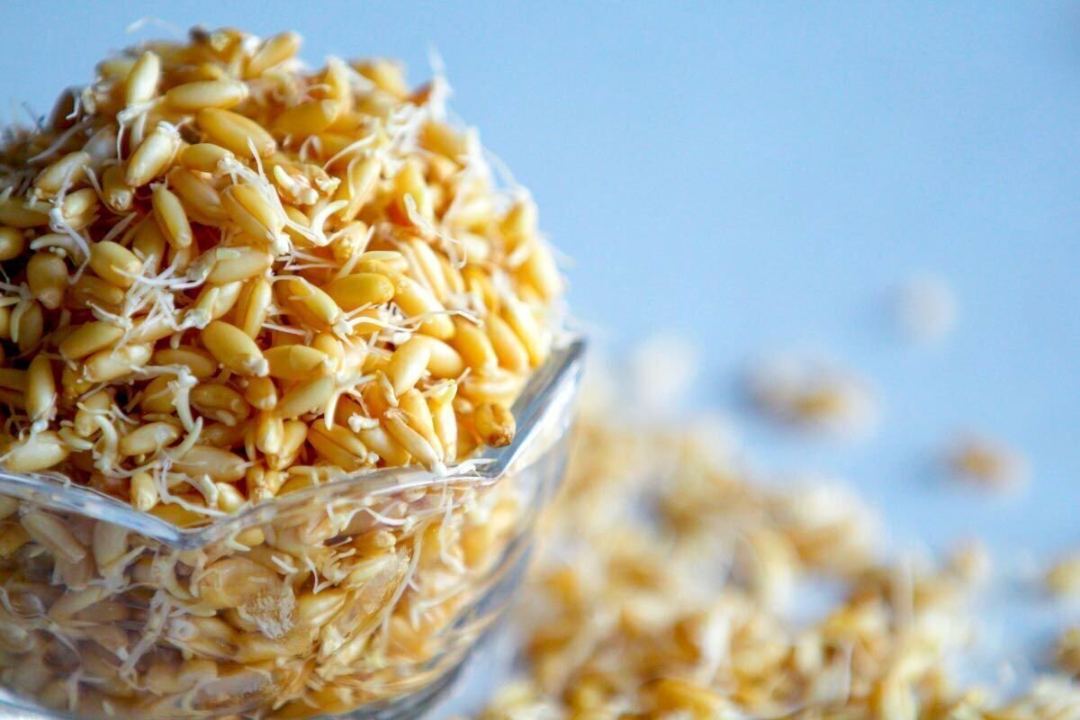 این ماده غذایی سرشار از ویتامینهای ضروری و مورد نیاز بدن است!
