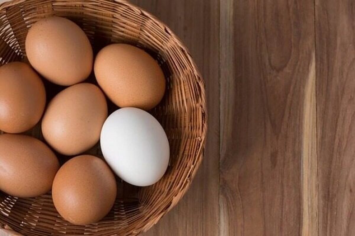 تازه‌ترین جزییات از افزایش عجیب قیمت تخم‌مرغ