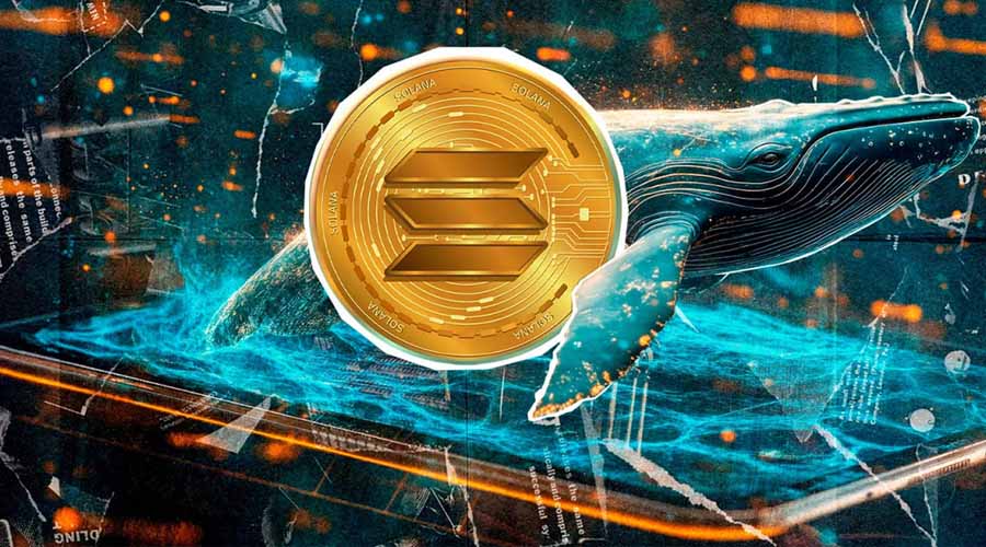 نهنگ بزرگ وارد بازار شد؛ آیا سولانا میتواند مقاومت ۱۰۰ دلار را حفظ کند؟