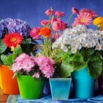 جدیدترین مدل‌های گلدان‌های بهاری برای خانه و باغچه