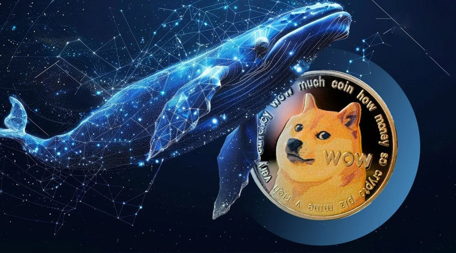 جابجایی صدها میلیون دوجکوین؛ نهنگها برای جهش بزرگ DOGE آماده میشوند!