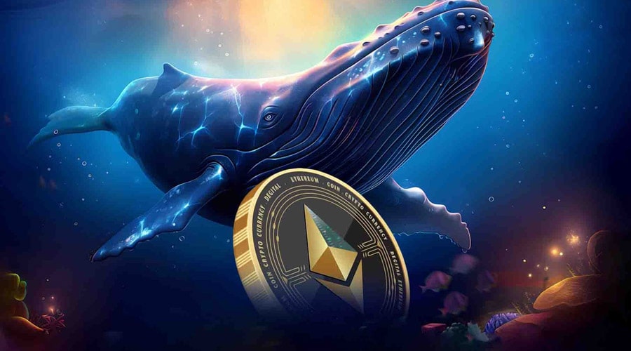 خرید گسترده نهنگهای اتریوم در زمان افت قیمت؛ سیگنالی برای صعود ETH؟