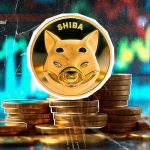 فرصت طلایی برای خریداران شیبا؛ تحلیلگر مطرح از رشد ۱۷ برابری SHIB می‌گوید!