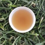 طرز تهیه ترشی شنگ+ نکات کپک نزدن