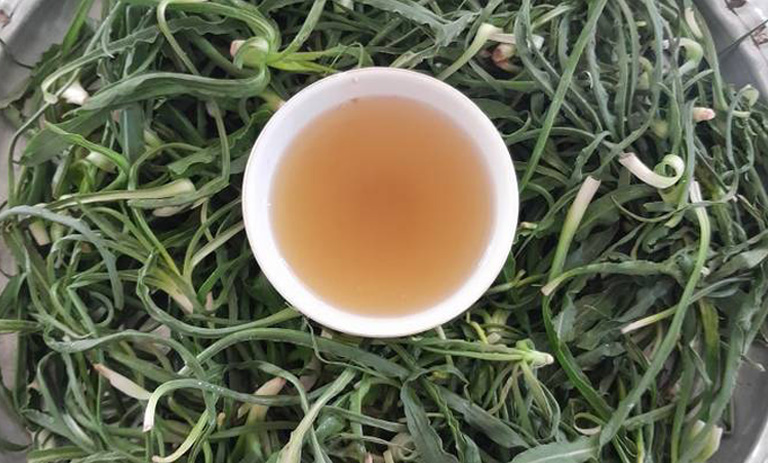 طرز تهیه ترشی شنگ+ نکات کپک نزدن
