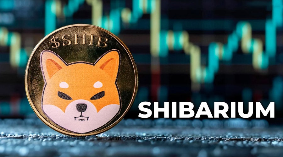 تعداد کیفپولهای شیباریوم از ۲۰۰ میلیون گذشت! زمان جهش قیمت SHIB فرا رسیده؟