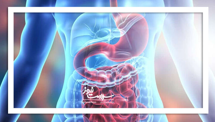 ویتامیندرمانی برای روده؛ کلید سلامت گوارش در ۴ ماده مغذی