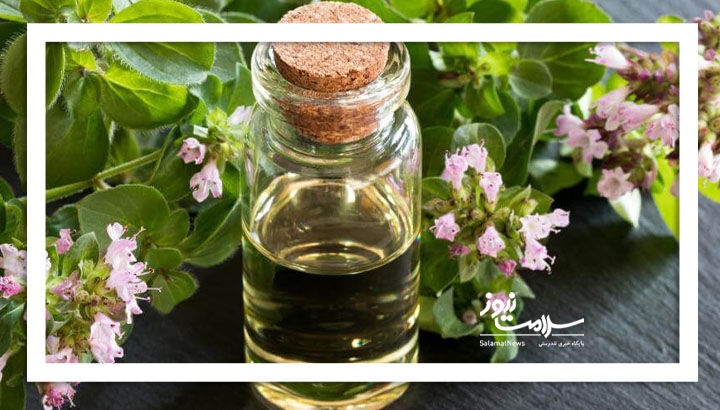 روغن پونه کوهی برای این افراد مضر است