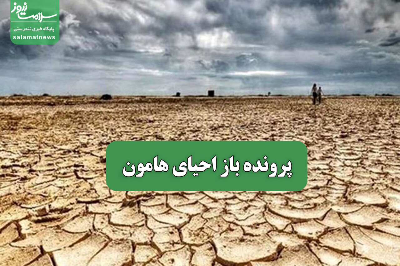 پرونده باز احیای هامون – سلامت نیوز