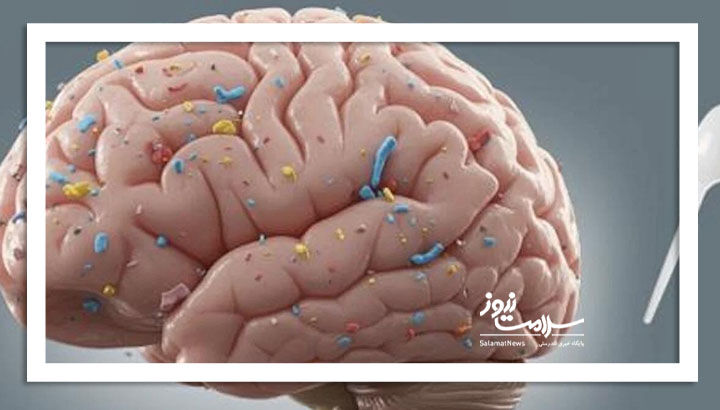 ترکش میکروپلاستیکها به مغز – سلامت نیوز