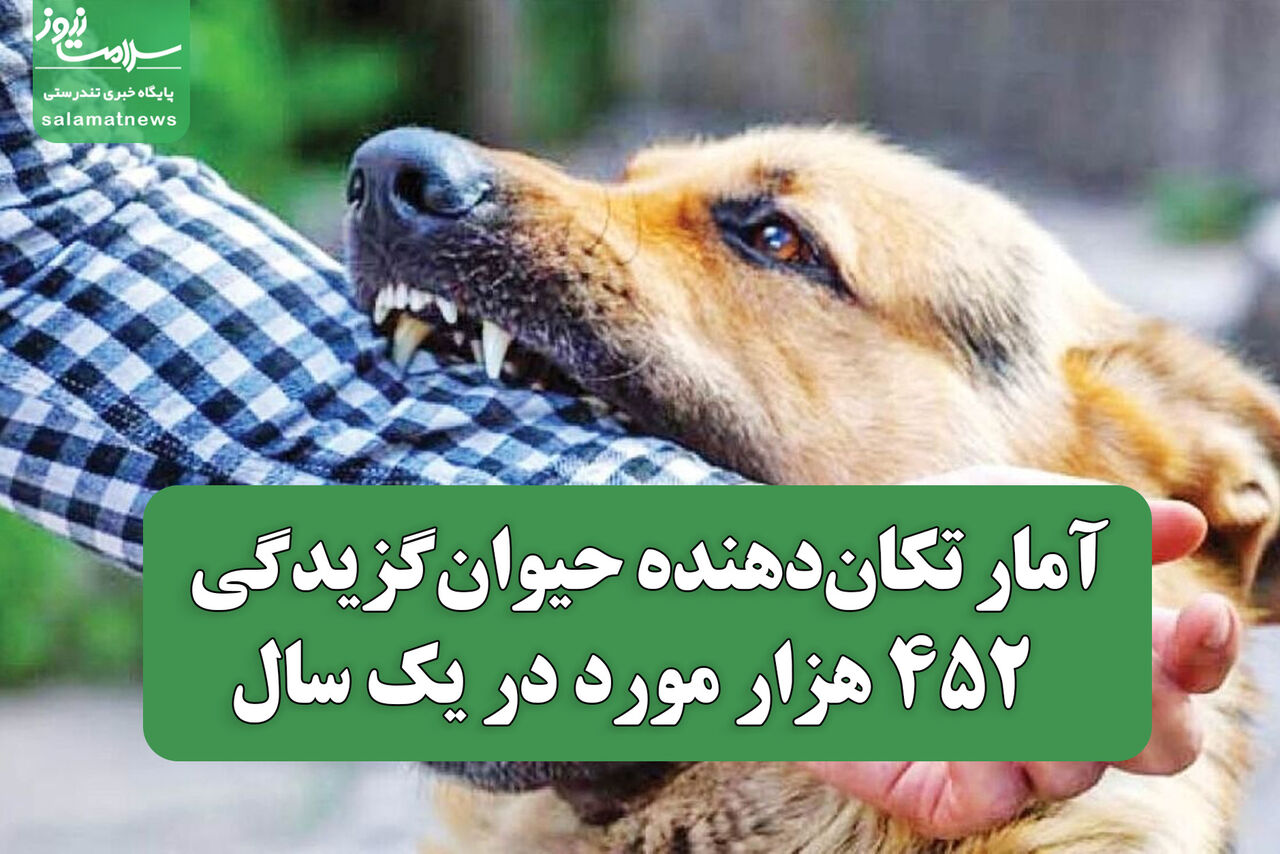آمار تکاندهنده حیوانگزیدگی / ۴۵۲ هزار مورد در یک سال