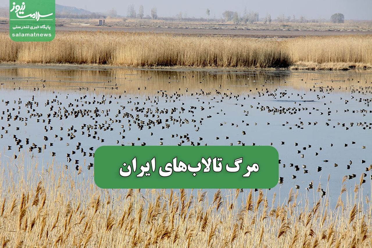 مرگ تالابهای ایران – سلامت نیوز