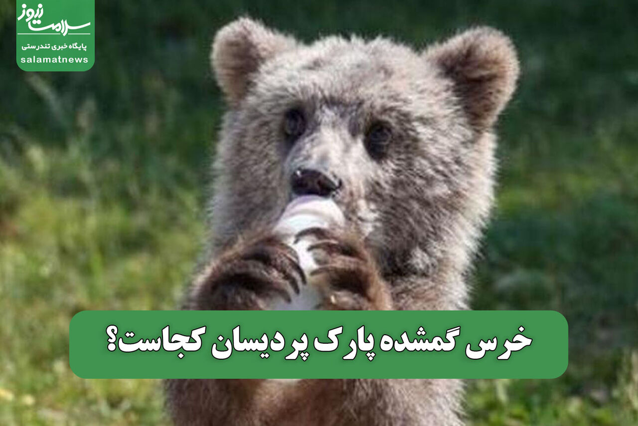 خرس گمشده پارک پردیسان کجاست؟