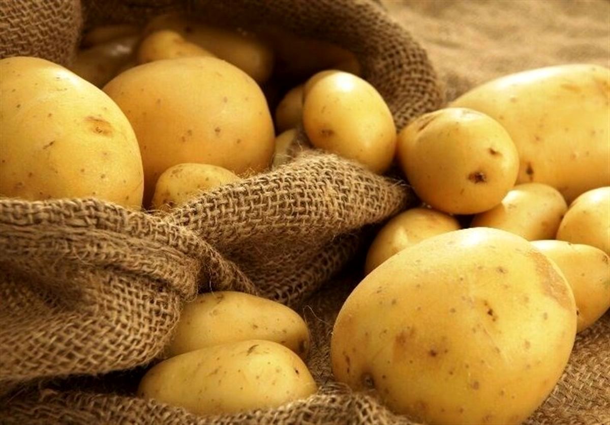 خبر گمرک از رفع ممنوعیت صادرات سیب زمینی