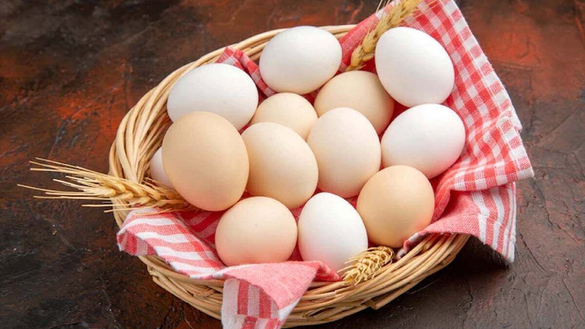 چگونه تخم مرغ خام را در خانه پاستوریزه کنیم؟
