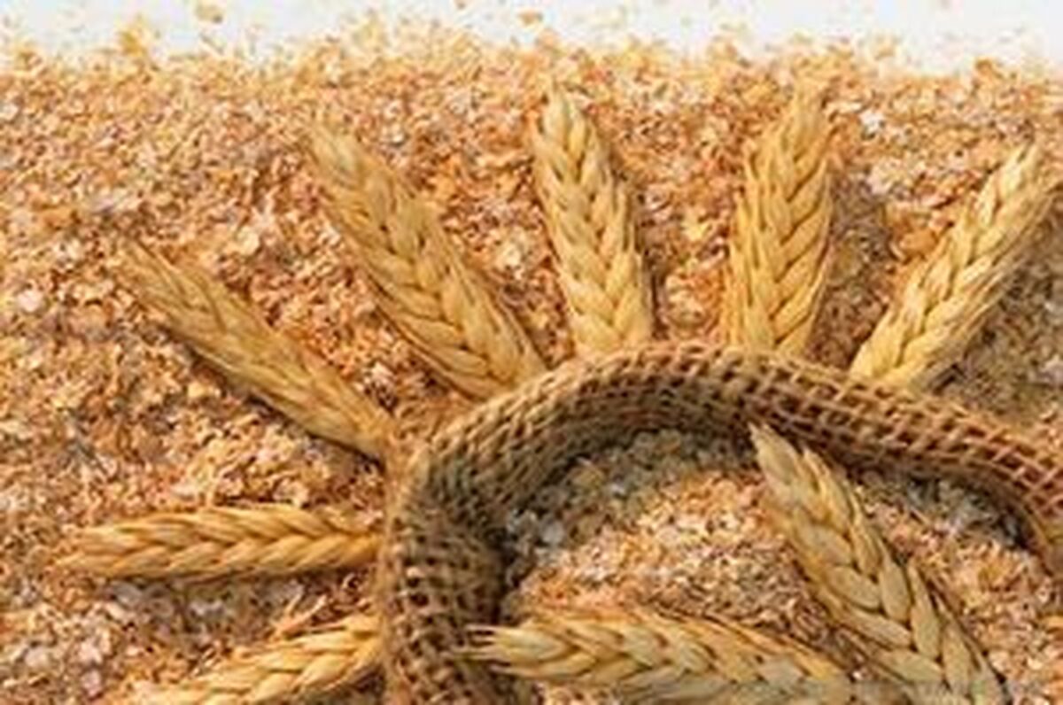 قیمت جدید سبوس گندم مصوب شد