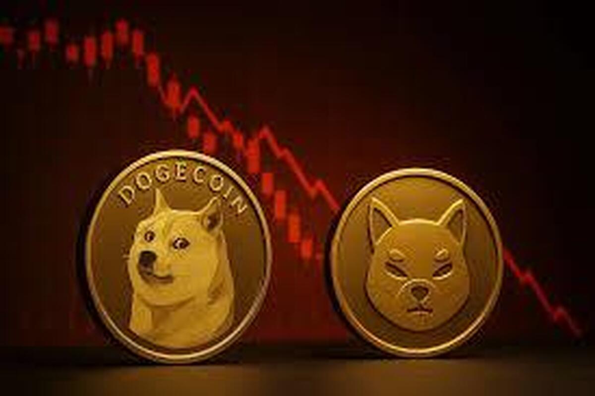 خبر بد از میمکوینها؛ دوجکوین و شیبا در مسیر نزولی+ جزئیات