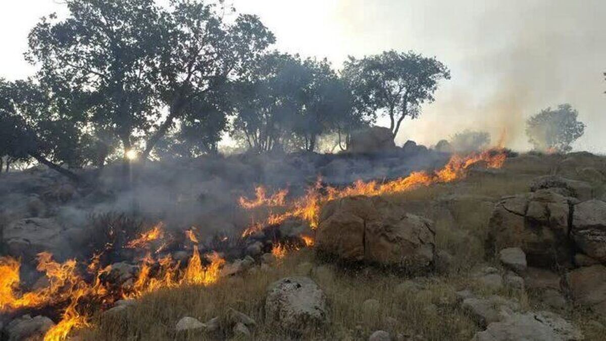 آتش سوزی شدید در کوههای سمغان