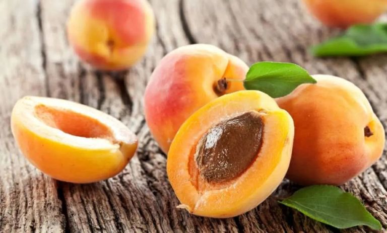 کالری زردآلو چقدر است؟ – مجله اکالا