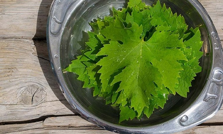 چگونه برگ مو را فریز کنیم؟