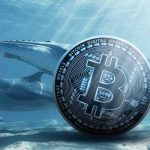 سیگنال مثبت نهنگ‌ها برای بیت‌کوین؛ انباشت حتی در اوج قیمت‌ها ادامه دارد!