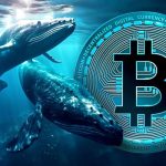 دفاع تمام‌قد نهنگ‌ها از رالی بیت‌کوین؛ ۸.۵ میلیارد دلار BTC دیگر انباشت شد!