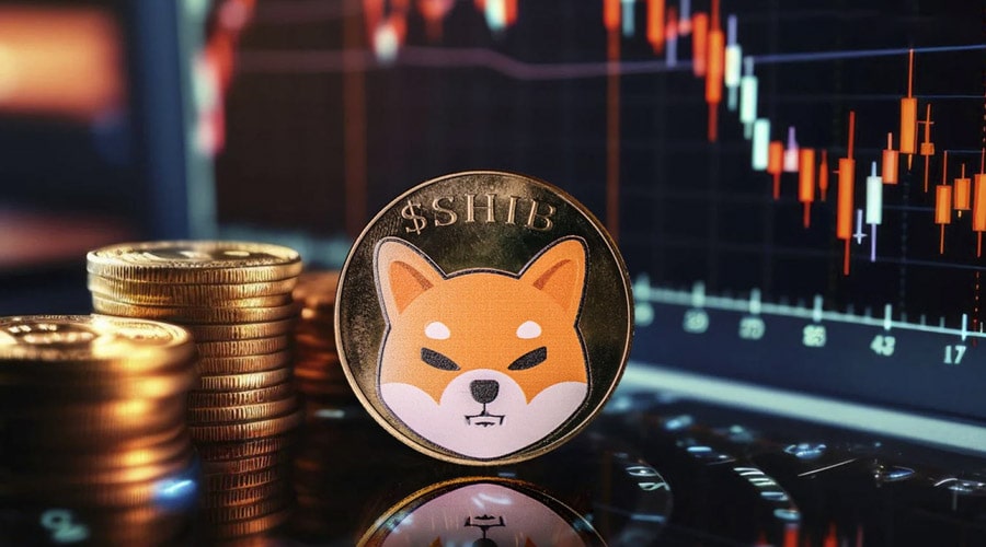 قیمت شیبا به کف رسیده؟ نشانهها از پایان اصلاح و آغاز صعود خبر میدهند!