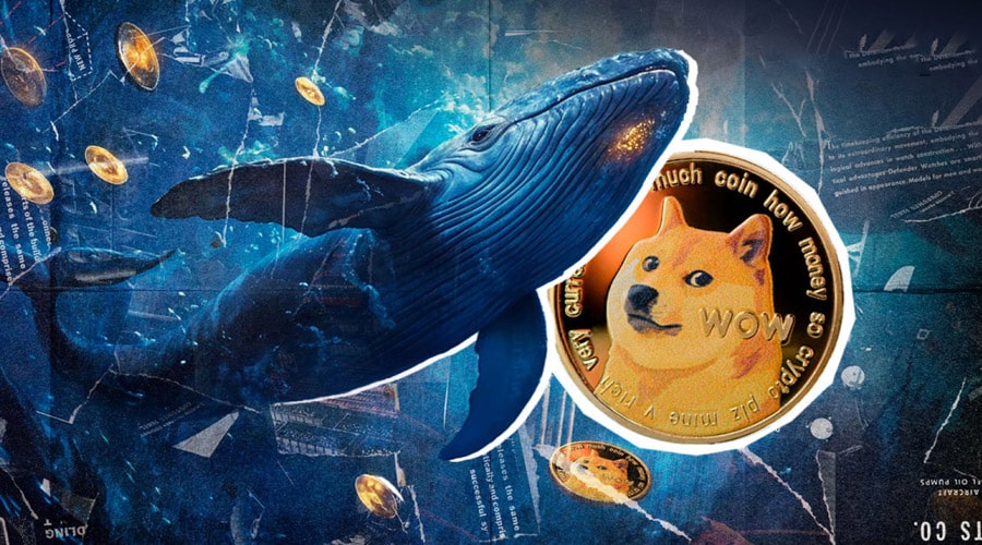 نهنگهای دوجکوین در کمین رشد؛ خرید یک میلیارد DOGE در حمایت کلیدی!