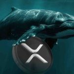 شرط‌بندی ۶ میلیون دلاری نهنگ‌ بزرگ روی ریپل! قیمت XRP آماده انفجار است؟