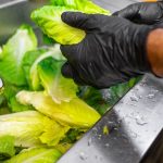 راهنمای جامع شستن کاهو؛ از انگل‌زدایی تا ضدعفونی کامل
