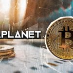 سود تاریخی با سرمایه‌گذاری در بیت‌کوین؛ متاپلنت رکورد ۲۰ ساله را شکست!
