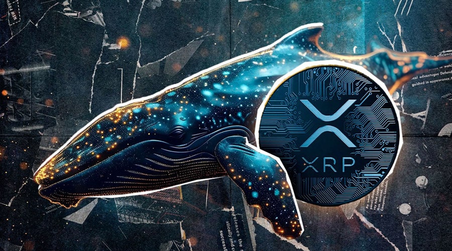 ریپل در آستانه بازگشت به اوج؛ نهنگها ۲۰۰ میلیون XRP را انباشت کردند!