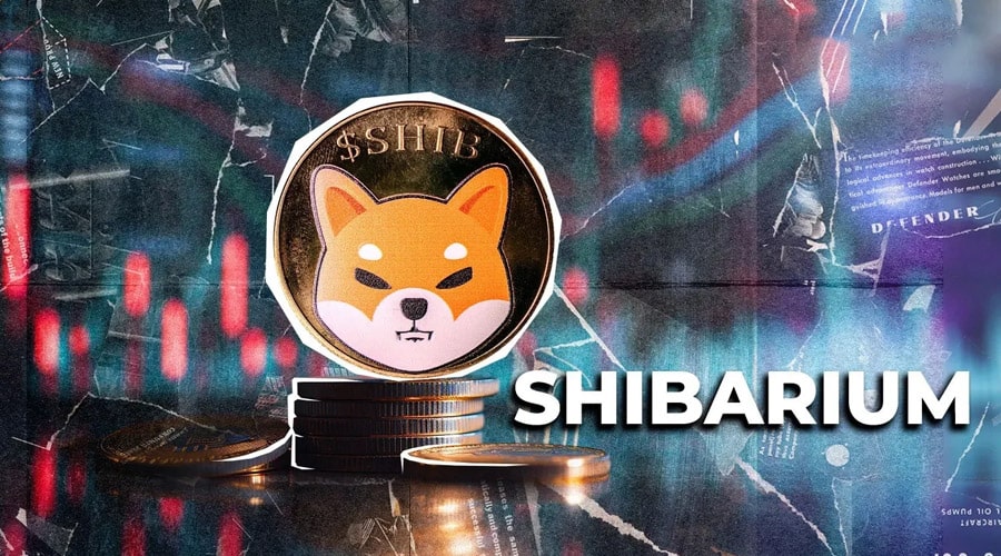 تعداد تراکنشهای شیباریوم اوج گرفت! قیمت SHIB هم به دنبال آن صعود میکند؟