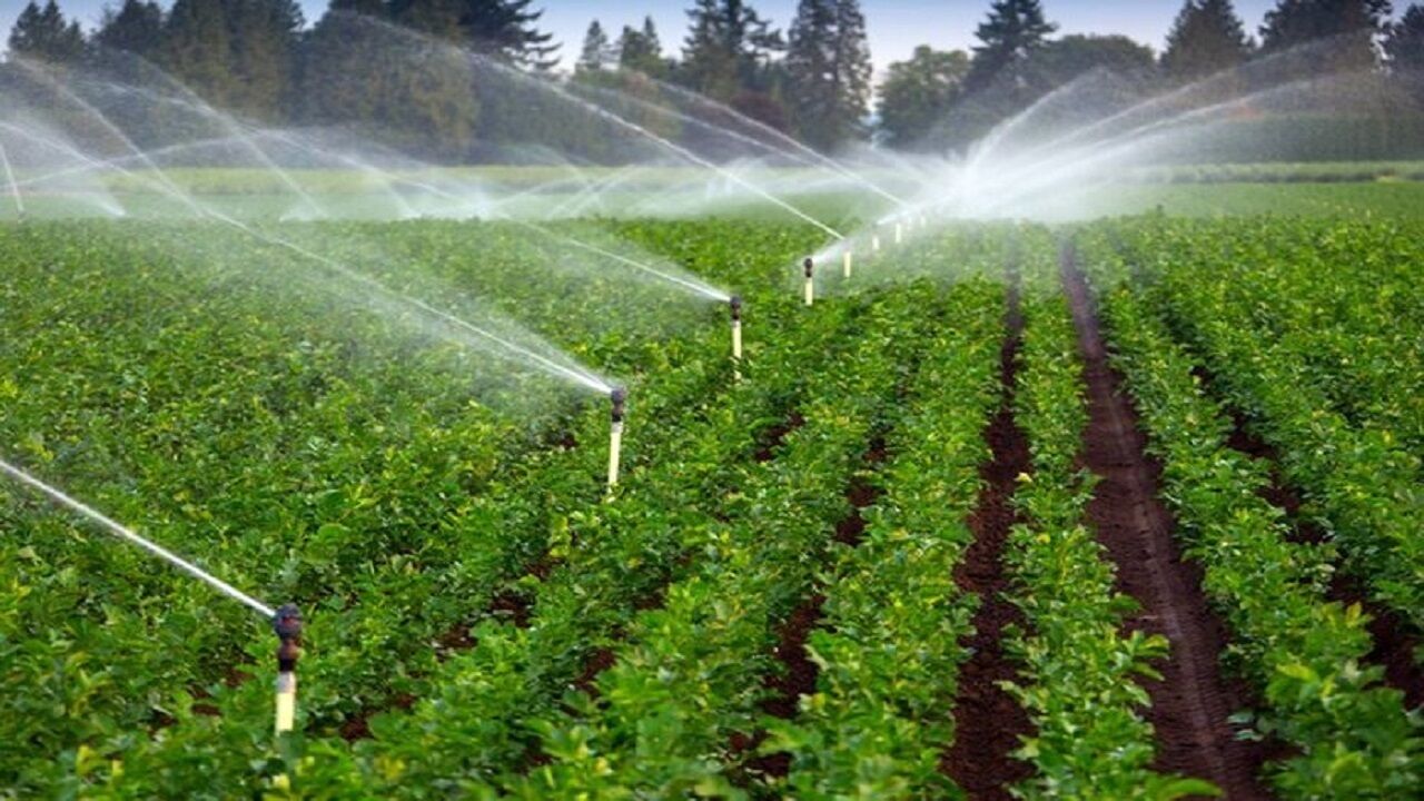 شناسنامهدار شدن مزارع و ساماندهی مصرف سموم؛ گام تازه در ایمنی غذا