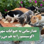 غذارسانی به حیوانات شهری، اکوسیستم را به هم می‌زند