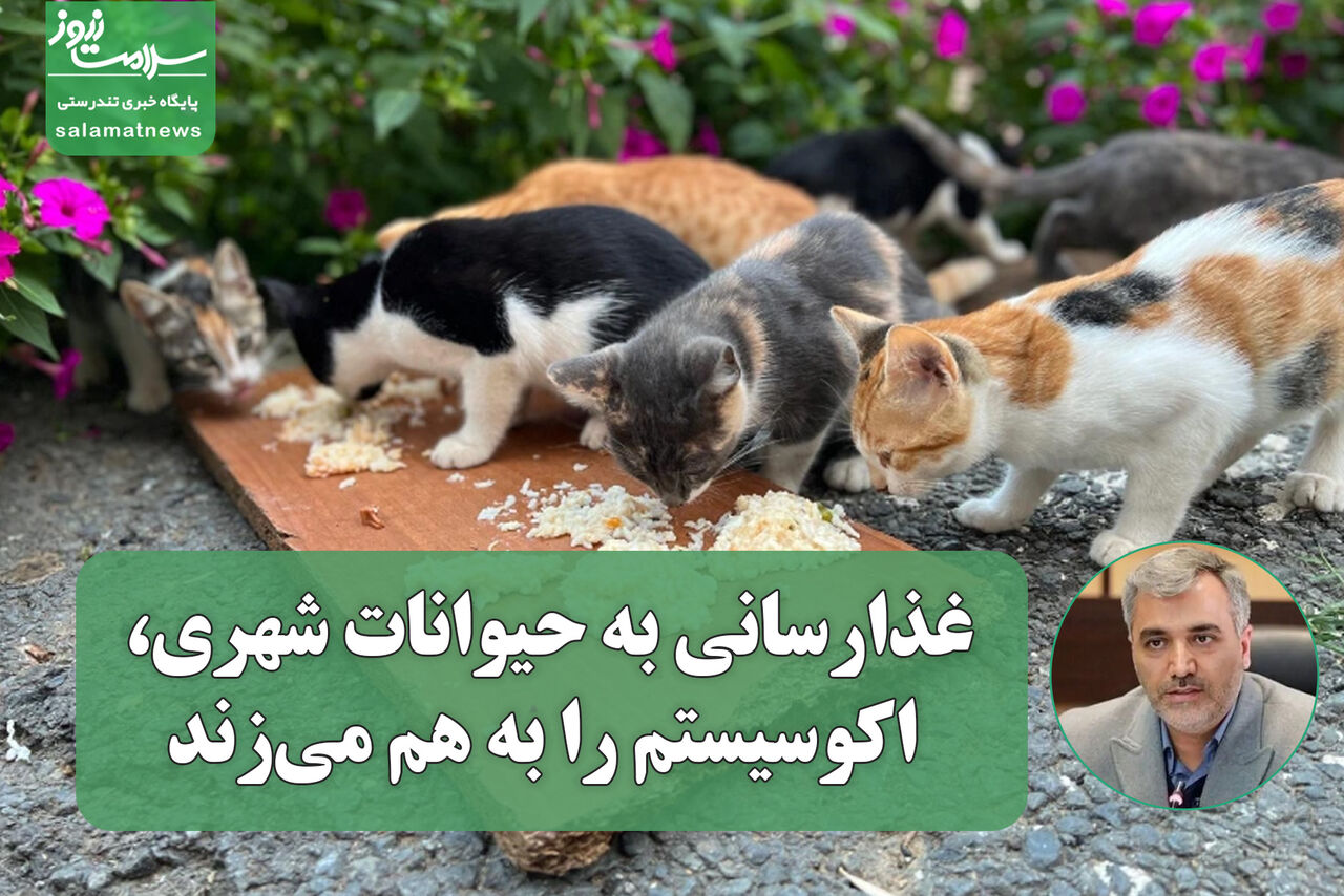 غذارسانی به حیوانات شهری، اکوسیستم را به هم میزند