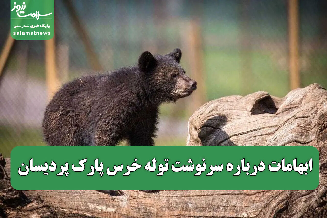 ابهامات درباره سرنوشت توله خرس پارک پردیسان