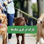 پارک در قرق سگ‌ها – سلامت نیوز