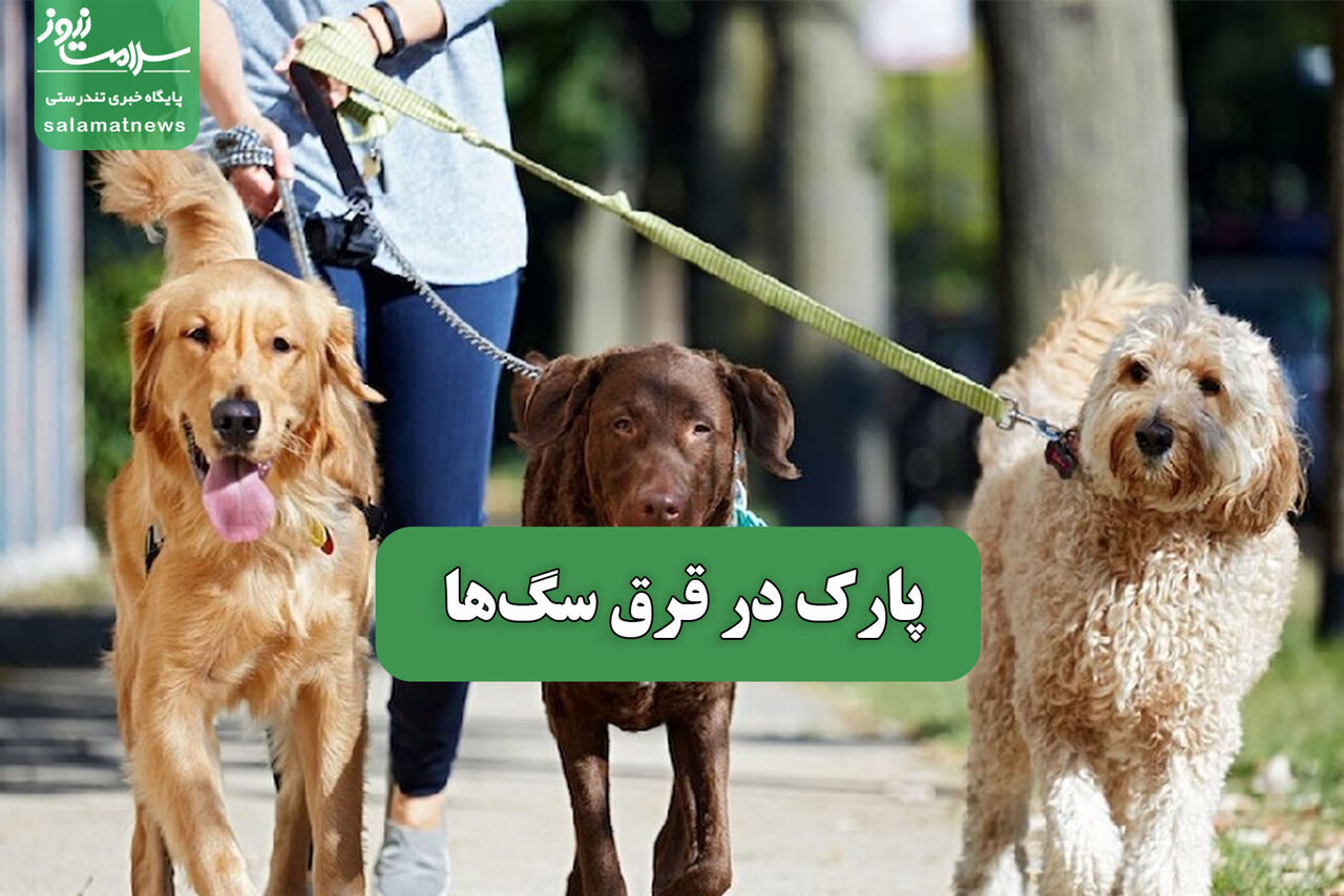 پارک در قرق سگها – سلامت نیوز