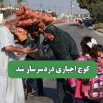 کوچ اجباری دردسرساز شد – سلامت نیوز